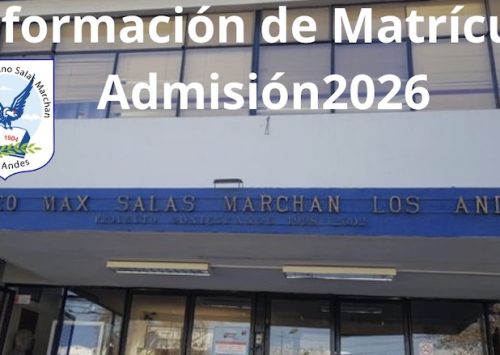 Proceso de Matrícula: Admisión 2026