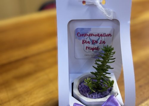 Acto conmemoración Día Internacional de la Mujer